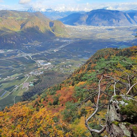 Tinnerhof Appiano Sulla Strada Del Vino Bagian luar foto