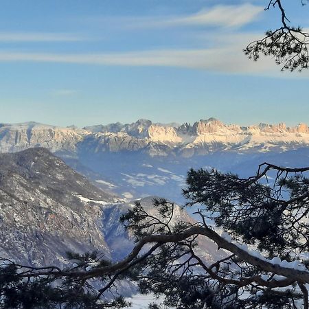 Tinnerhof Appiano Sulla Strada Del Vino Bagian luar foto