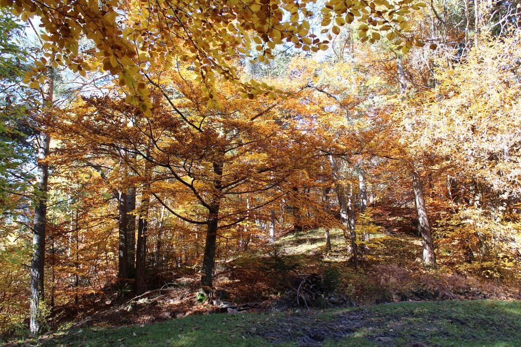 Tinnerhof Appiano Sulla Strada Del Vino Bagian luar foto
