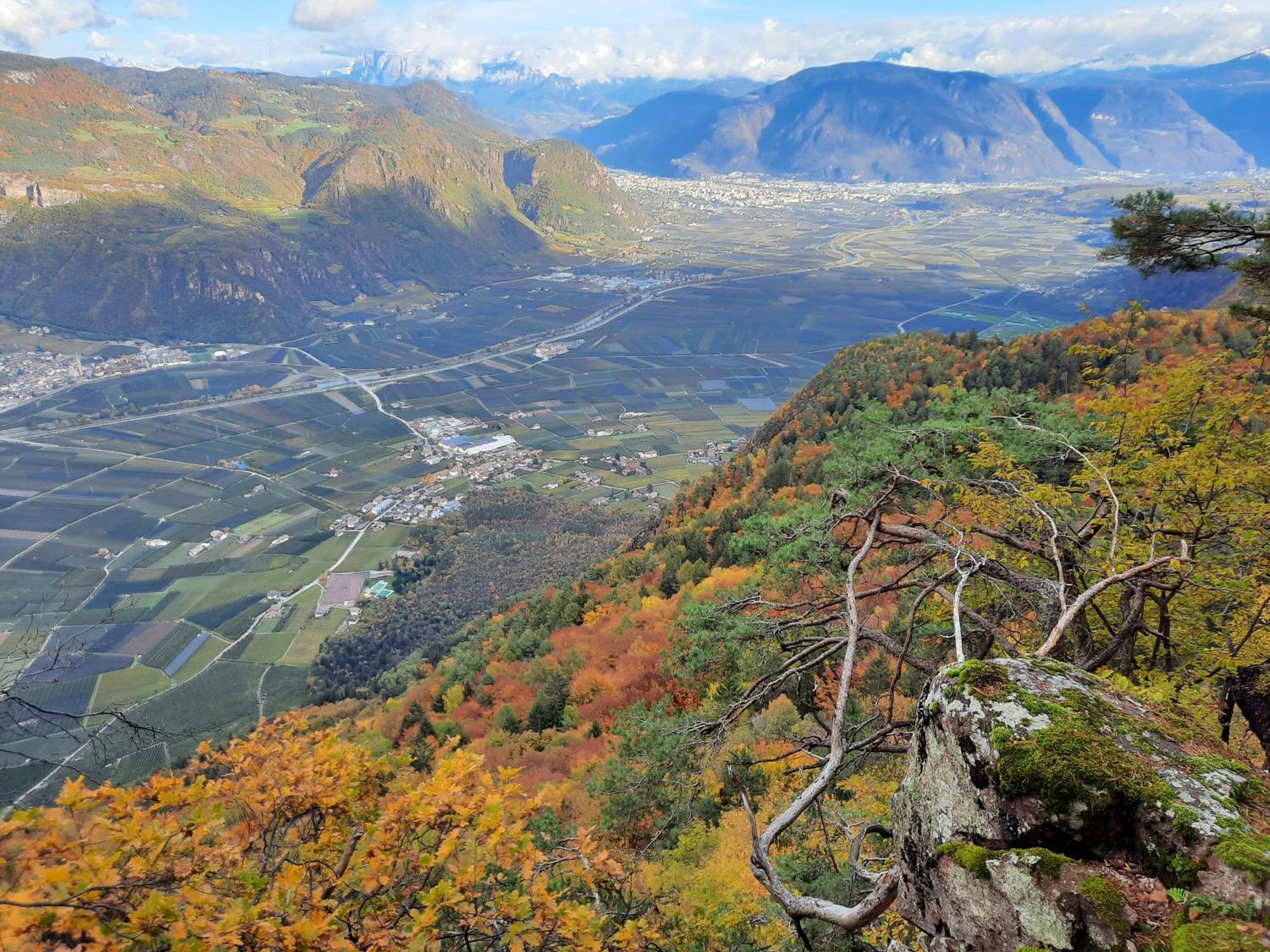 Tinnerhof Appiano Sulla Strada Del Vino Bagian luar foto