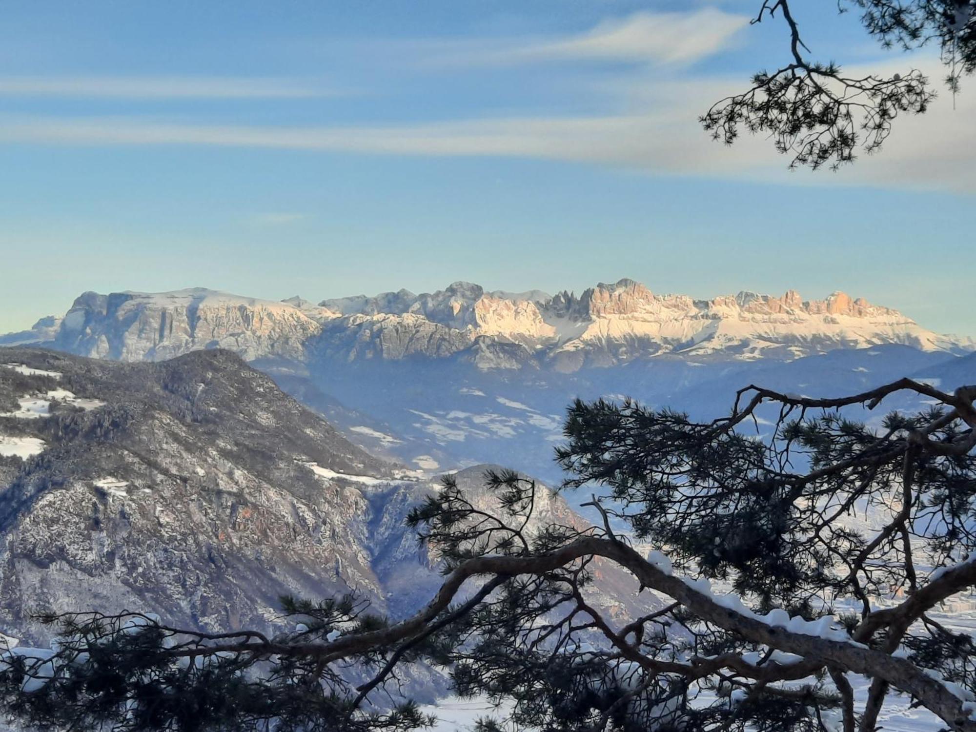 Tinnerhof Appiano Sulla Strada Del Vino Bagian luar foto