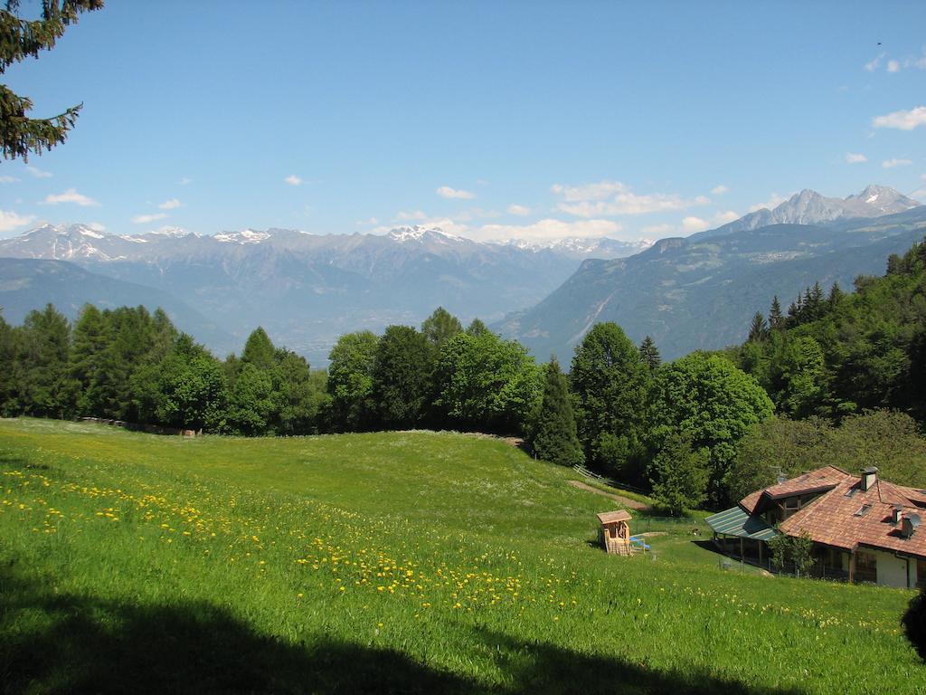 Tinnerhof Appiano Sulla Strada Del Vino Bagian luar foto