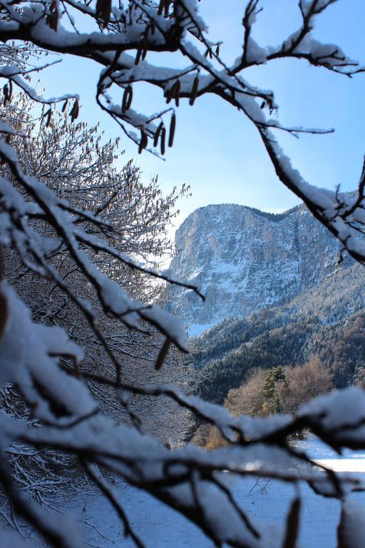 Tinnerhof Appiano Sulla Strada Del Vino Bagian luar foto