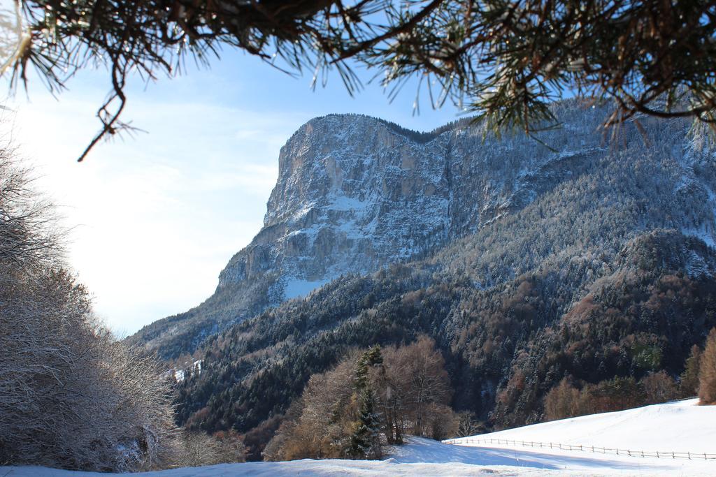 Tinnerhof Appiano Sulla Strada Del Vino Bagian luar foto