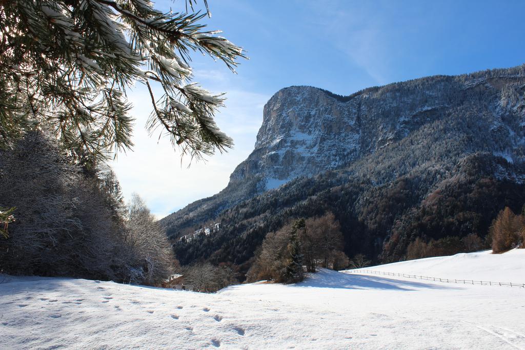 Tinnerhof Appiano Sulla Strada Del Vino Bagian luar foto