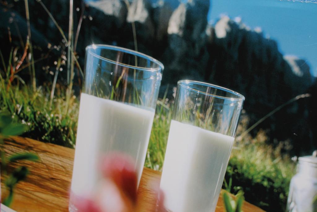 Tinnerhof Appiano Sulla Strada Del Vino Bagian luar foto