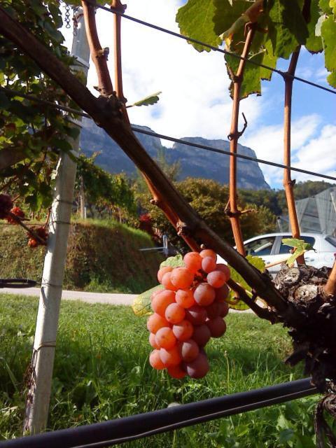 Tinnerhof Appiano Sulla Strada Del Vino Bagian luar foto